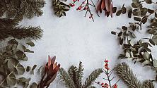 Av Annie Spratt från Unsplash: https://unsplash.com/@anniespratt